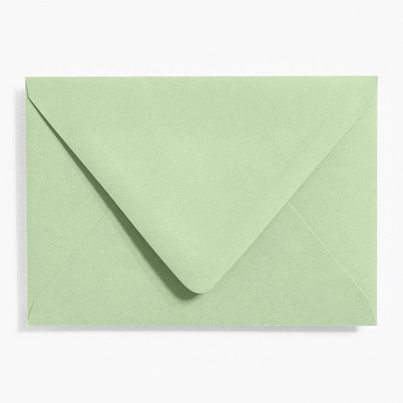 Eucalyptus 4 Bar Envelopes