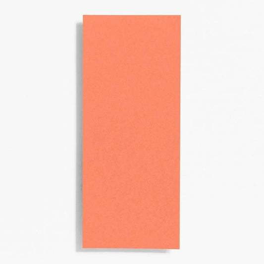 #10 Papaya Note Cards